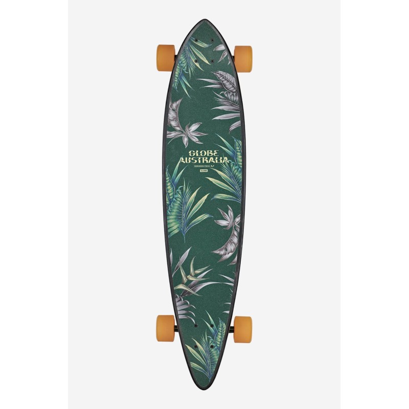 Pintail 37 - Kookaburra