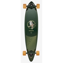 Pintail 37 - Kookaburra